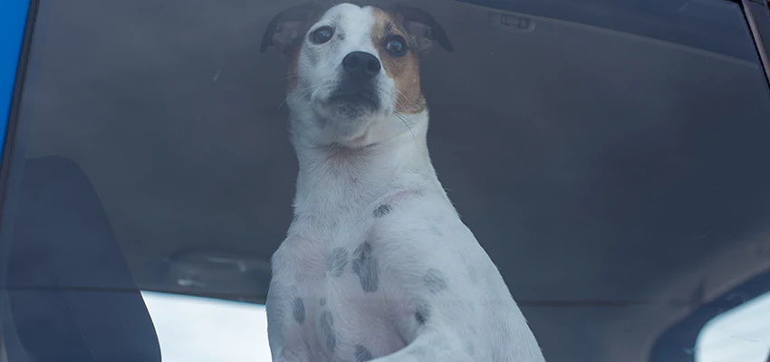 Car Lockout Solutions in Tara Hills, California